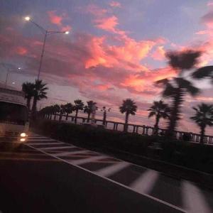 黑兽动漫完整版全集观看在线观看
