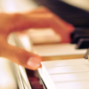 黑兽动漫完整版全集观看在线观看
